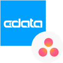 Asana ODBC Driver