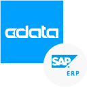 SAP ERP ADO.NET Provider